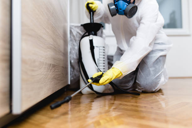 Best Pest Inspection Near Me  in Glen Alpine, NC