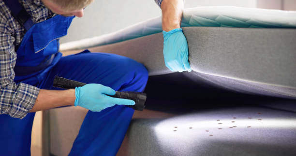 Trusted Glen Alpine, NC Pest Control Experts