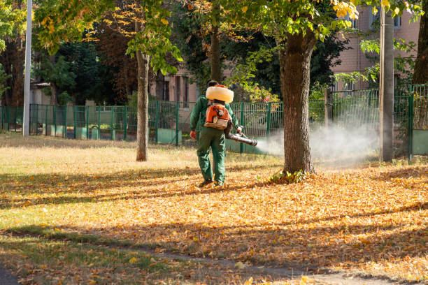Best Pest Control Treatment  in Glen Alpine, NC
