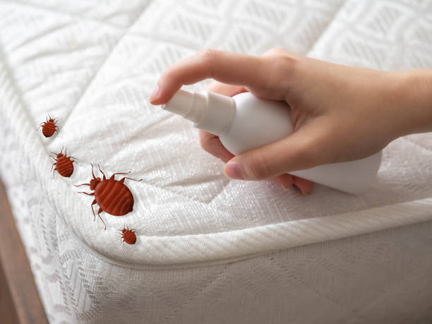 Pest Control Cost in Glen Alpine, NC