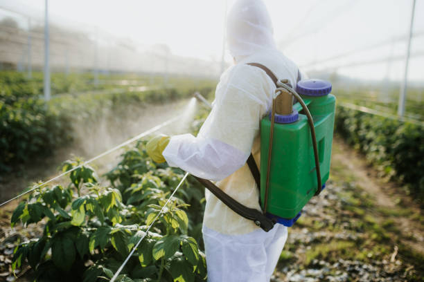 Best Commercial Pest Control Services  in Glen Alpine, NC